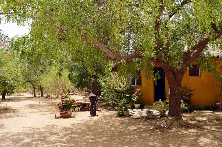 Gite Anacardier Ngaparou Sénégal